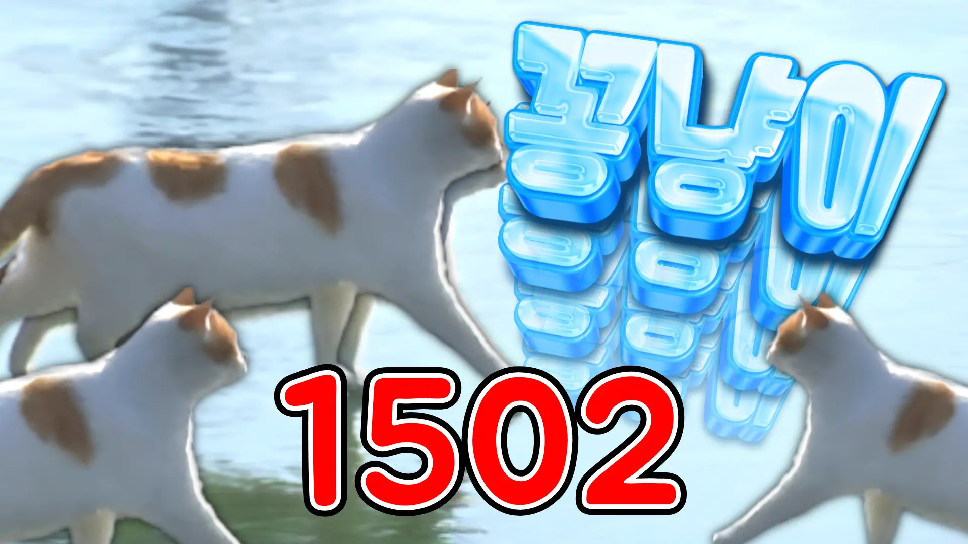 152 꽁냥이