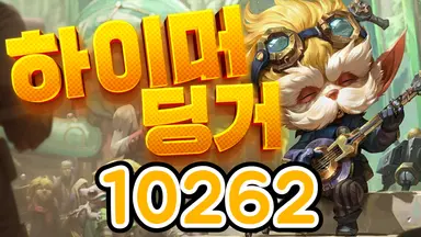 10262 하이머딩거