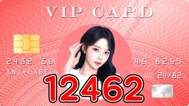 12462 많이사애지니