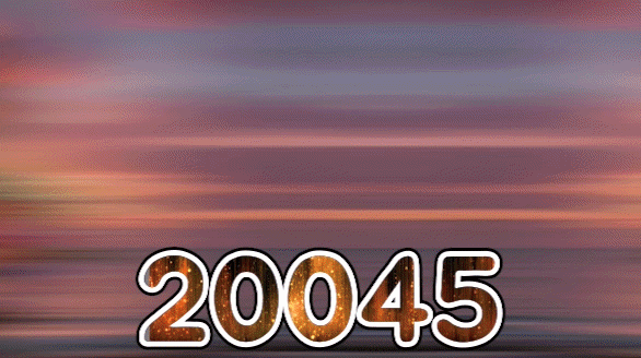 20045 S. 젤로#