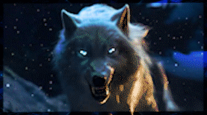 20052 S. 시바이누coin